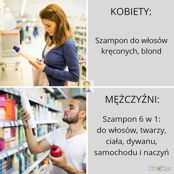 szampon dla faceta memy