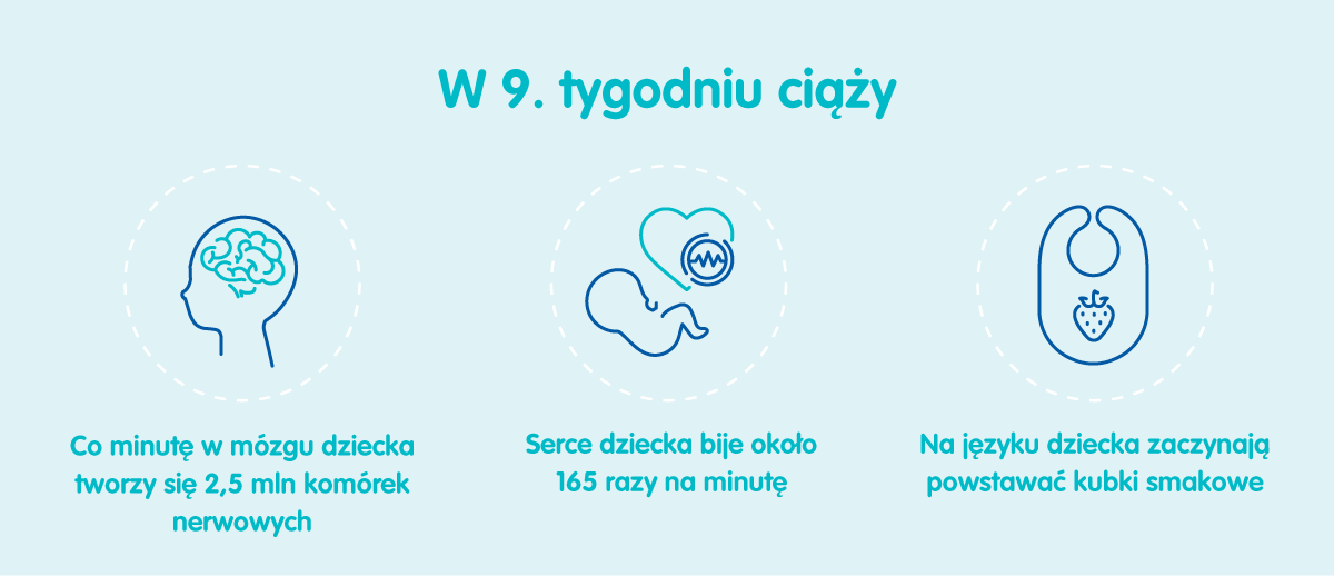 pampers 9 tydzien ciąży 3 dzień