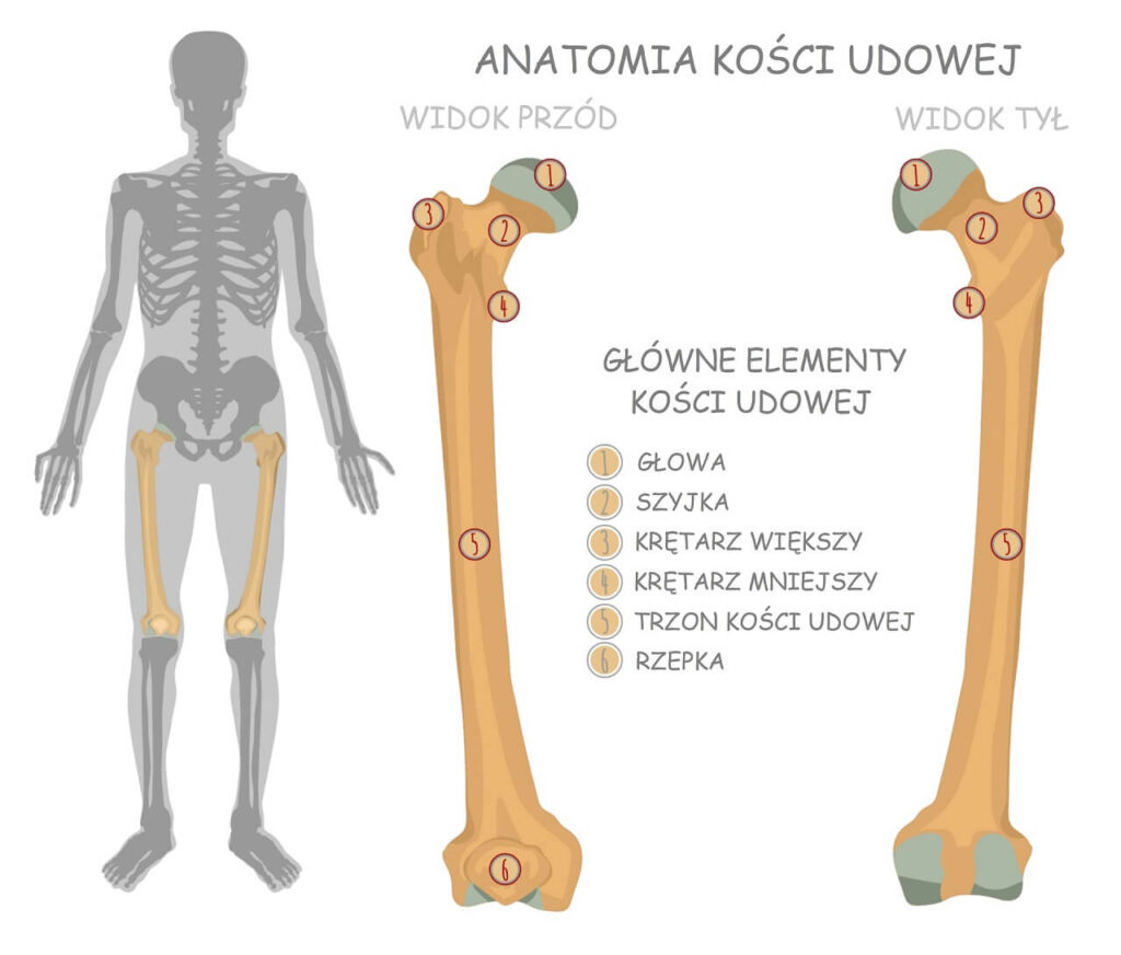 odżywka do włosów w kapsułkach