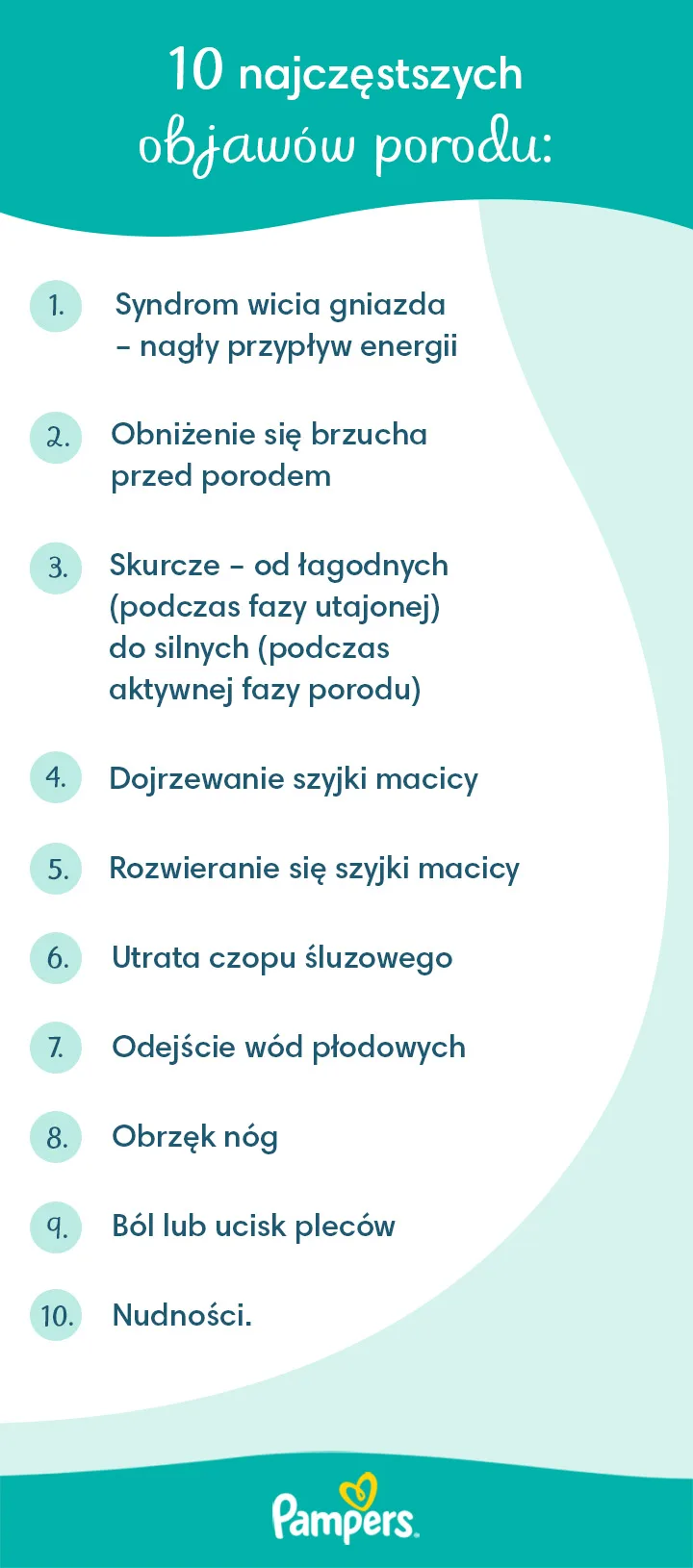 pampers obliczanie terminu porodu