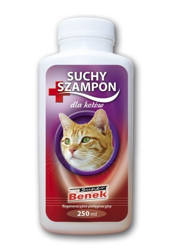 suchy szampon kota