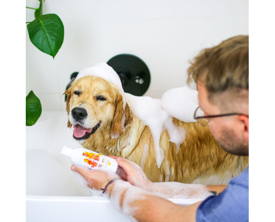 dlaczego szampon głęboko czyszczący dla psa