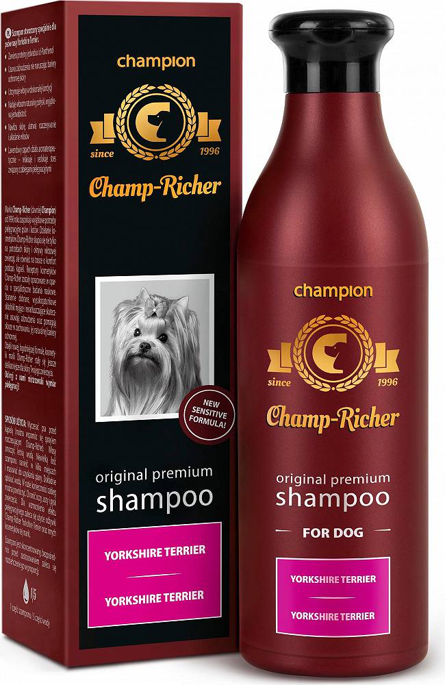 jaki szampon dla jack russell terrier