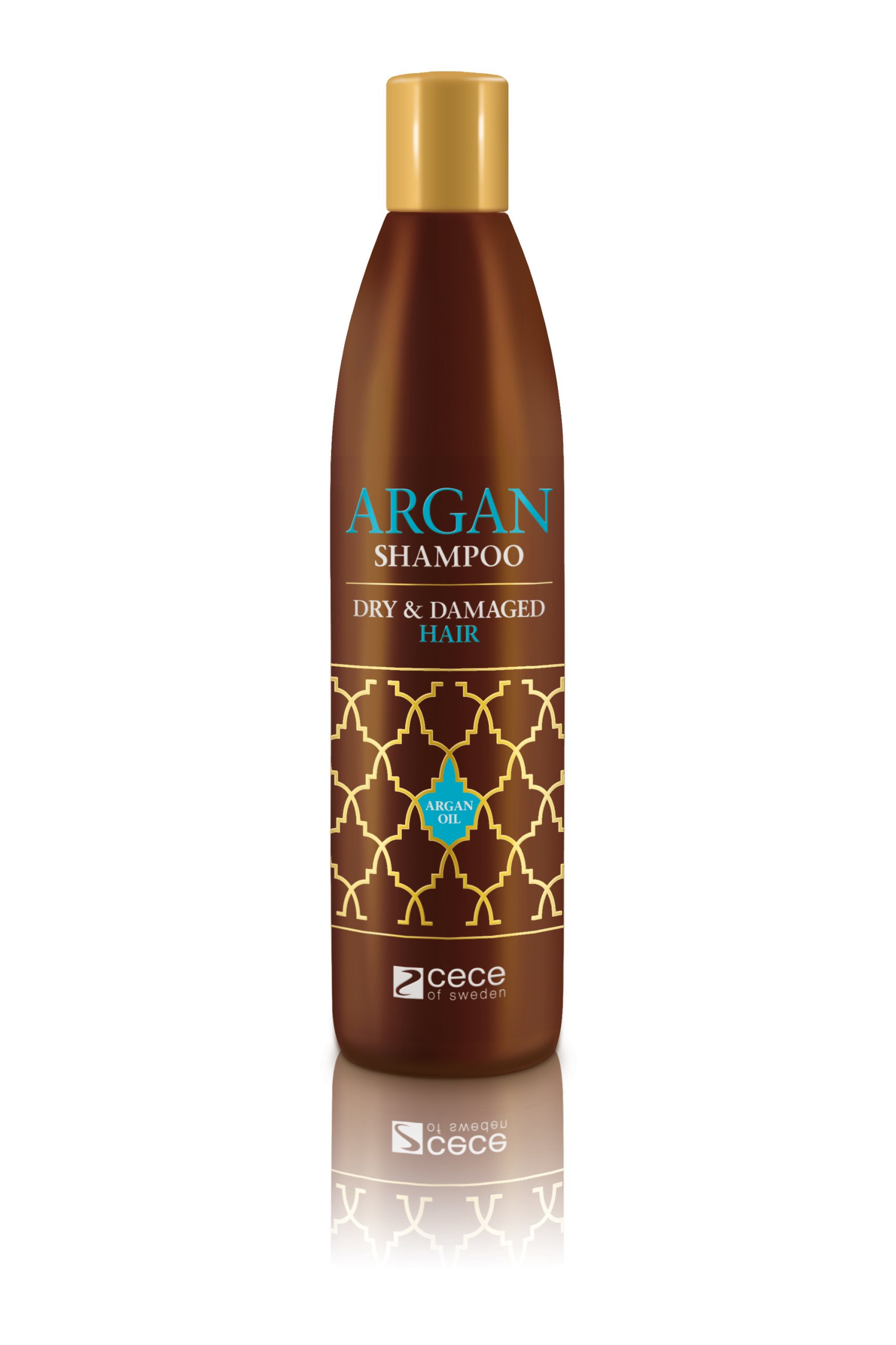 szampon argan oil dry&damaged opinie